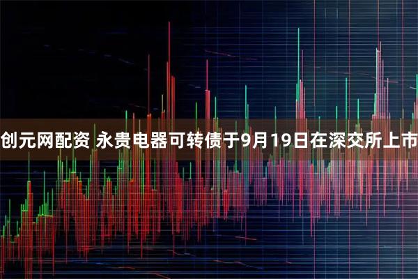 创元网配资 永贵电器可转债于9月19日在深交所上市