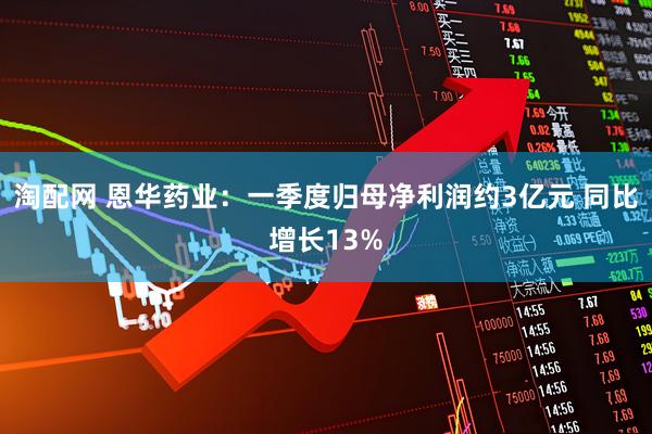淘配网 恩华药业：一季度归母净利润约3亿元 同比增长13%