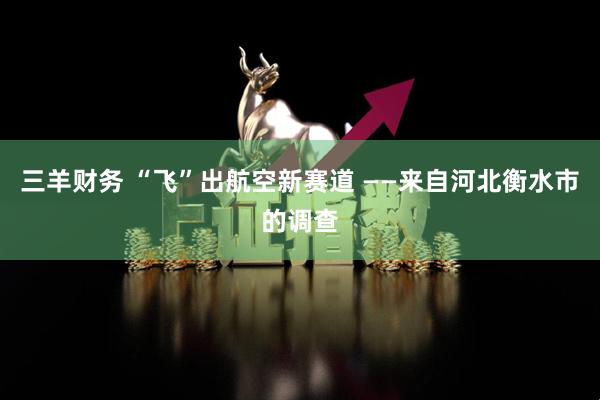 三羊财务 “飞”出航空新赛道 ——来自河北衡水市的调查