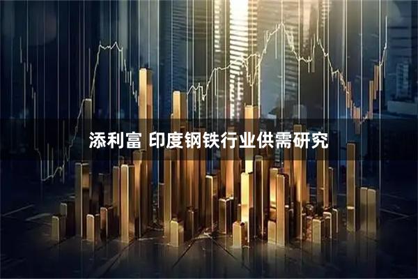 添利富 印度钢铁行业供需研究