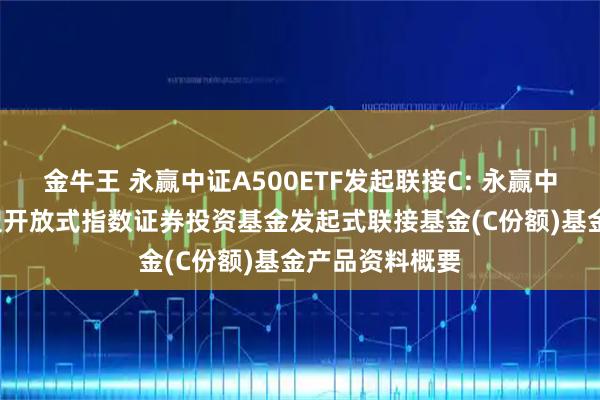金牛王 永赢中证A500ETF发起联接C: 永赢中证A500交易型开放式指数证券投资基金发起式联接基金(C份额)基金产品资料概要
