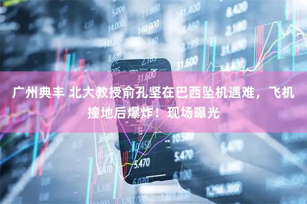 广州典丰 北大教授俞孔坚在巴西坠机遇难，飞机撞地后爆炸！现场曝光