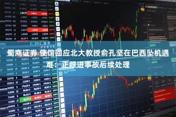 蜀商证券 使馆回应北大教授俞孔坚在巴西坠机遇难：正跟进事故后续处理