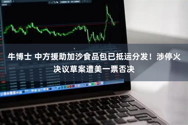 牛博士 中方援助加沙食品包已抵运分发！涉停火决议草案遭美一票否决