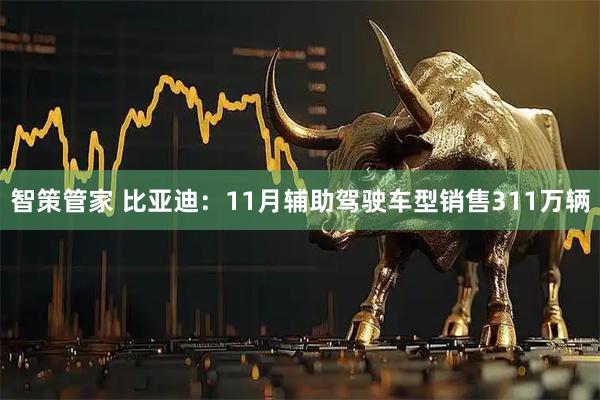 智策管家 比亚迪：11月辅助驾驶车型销售311万辆