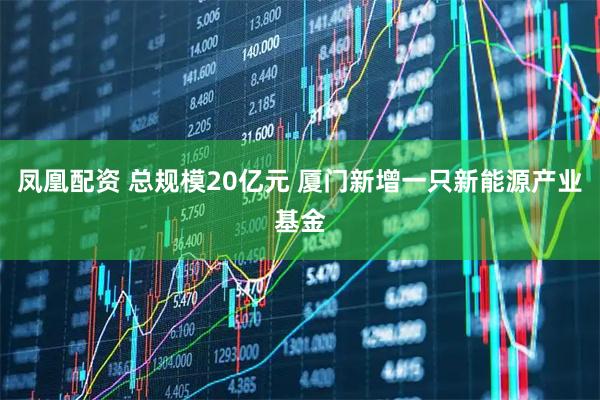 凤凰配资 总规模20亿元 厦门新增一只新能源产业基金